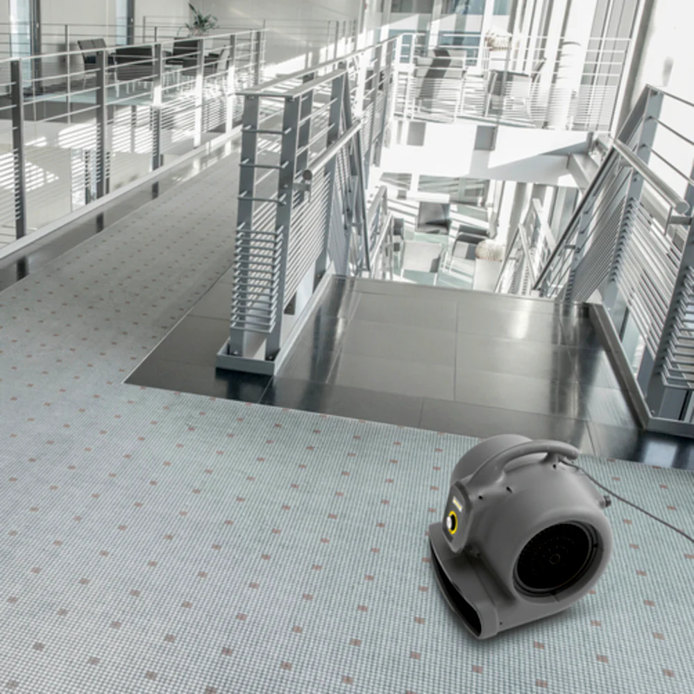 Karcher Carpet Cleaning Bundle | Puzzi 10/1 & Air Blower A B 20 - Image 3